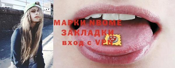 индика Бронницы