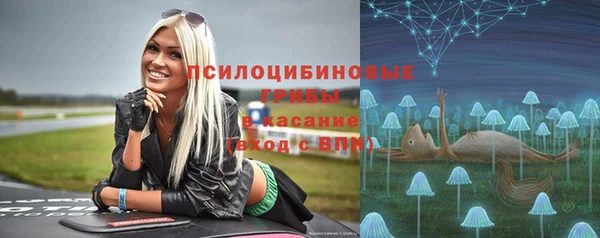 спиды Богородицк