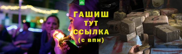 спиды Богородицк