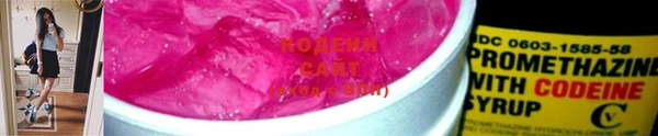 спиды Богородицк