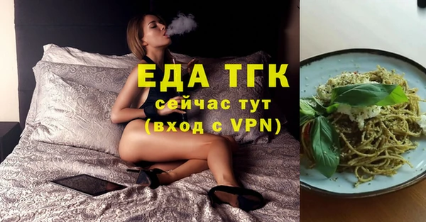 индика Бронницы