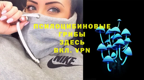 Альфа ПВП Богородск