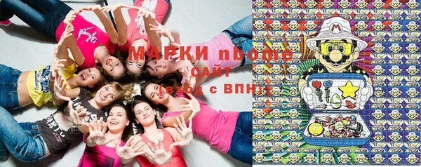 Альфа ПВП Богородск