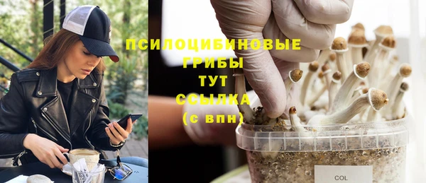 спиды Богородицк